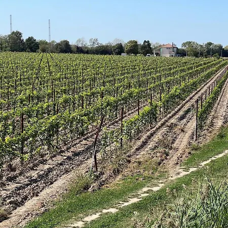 Dom wakacyjny Casa Cabini Piave