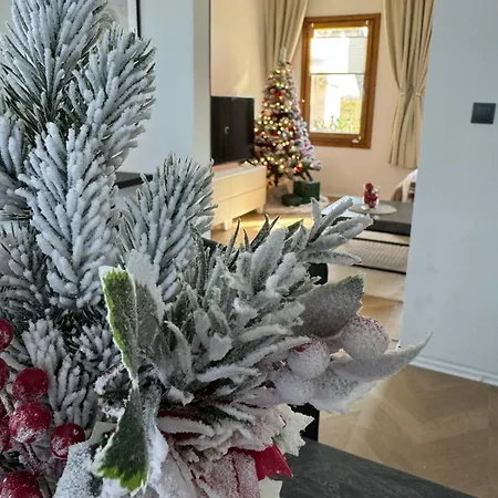 Casa Cabini Piave 度假居 *